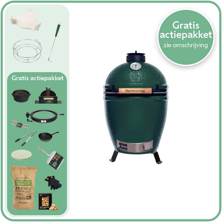 Big Green Egg Large Deal 10