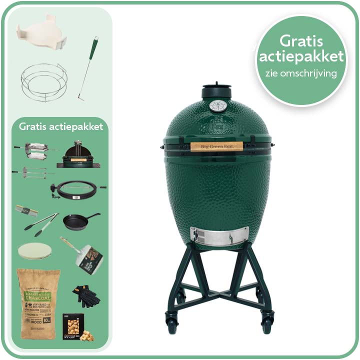 Big Green Egg Large Deal 11