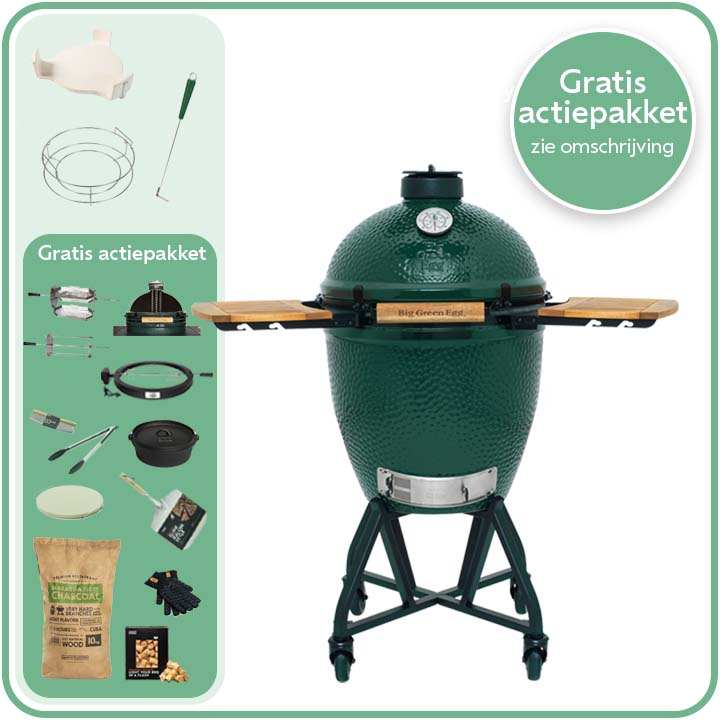 Big Green Egg Large Deal 12