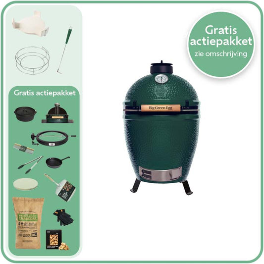 Big Green Egg Large Deal 10