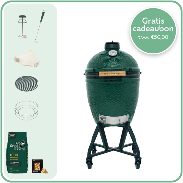 Big Green Egg Large Deal 14