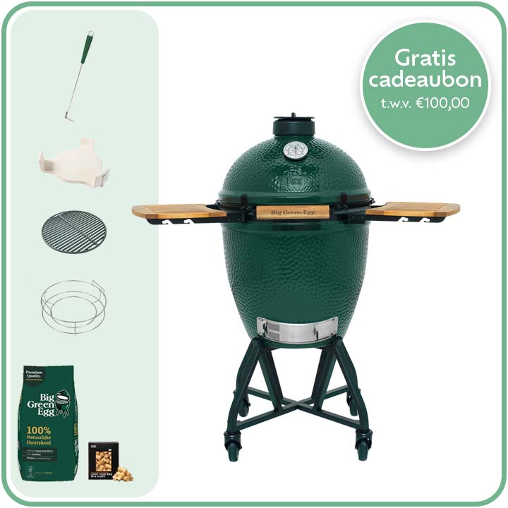 Big Green Egg Large Deal 15