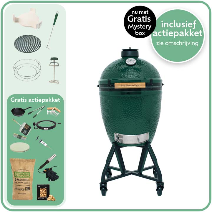 Big Green Egg Large Deal 11