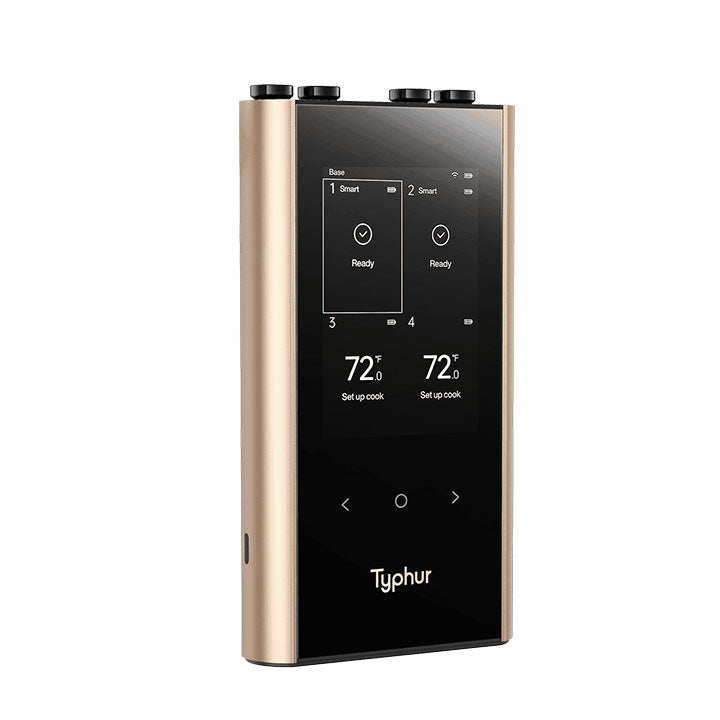 Typhur Sync Gold Quad gebruikt voor meerdere barbecuegerechten